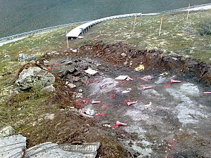 FV 243 Aurland-Lærdal, kunstprosjekt Bjørnehi Vedahaugane