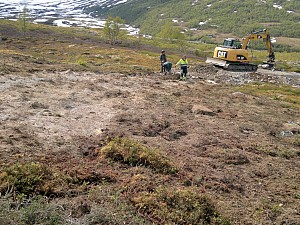 FV 243 Aurland-Lærdal, kunstprosjekt Bjørnehi Vedahaugane