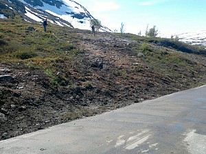 FV 243 Aurland-Lærdal, kunstprosjekt Bjørnehi Vedahaugane