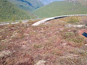 FV 243 Aurland-Lærdal, kunstprosjekt Bjørnehi Vedahaugane