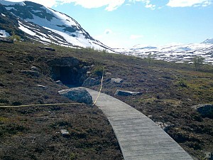 FV 243 Aurland-Lærdal, kunstprosjekt Bjørnehi Vedahaugane