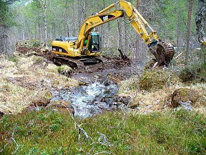 Bygging av skogsveg